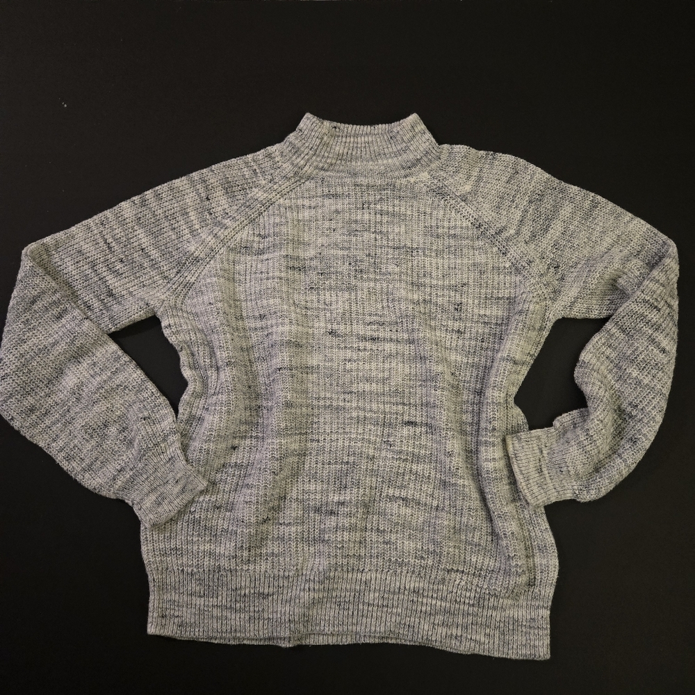 Caslon Turtleneck